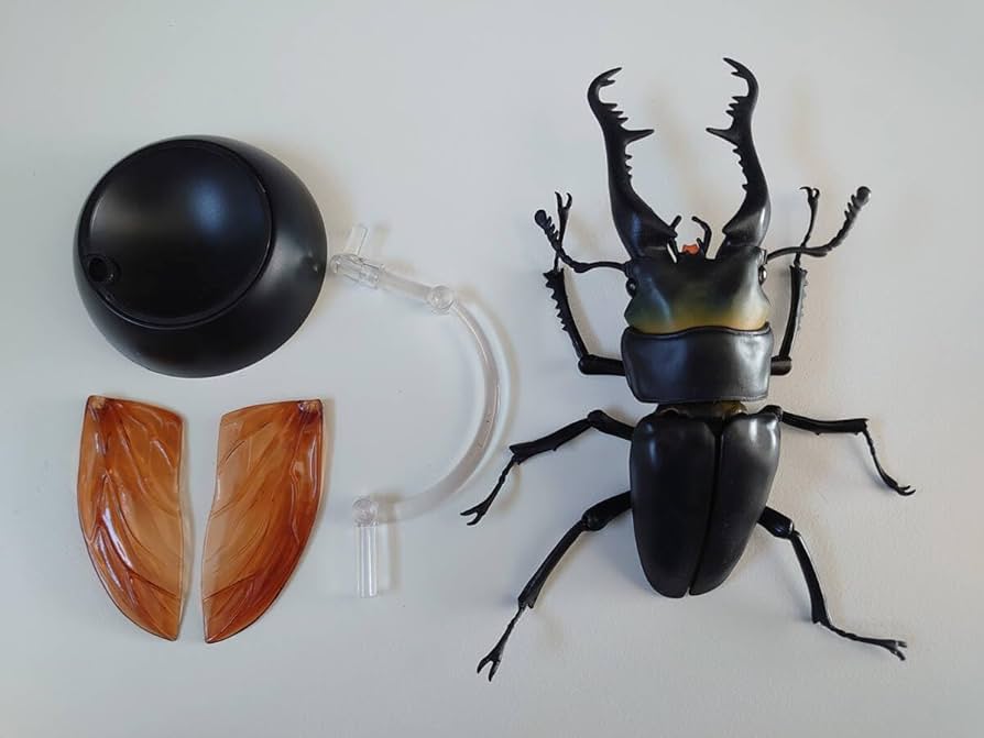 いきもの図鑑　昆虫フィギュア　ガチャガチャ いきもの大図鑑ミニコレクション 昆虫01｜いきもの大図鑑